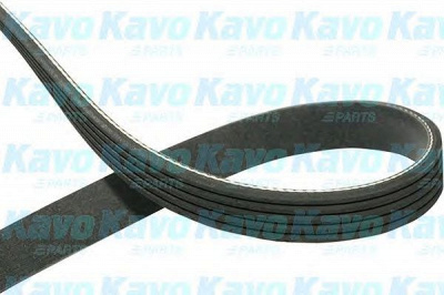 KAVO PARTS dmv2030 -  Поликлиновой ремень